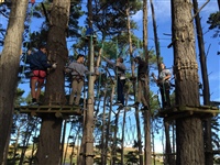 Adrenalin Forest, Wellington