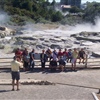 Mudpools in Rotorua