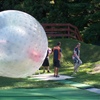 Zorb Rotorua